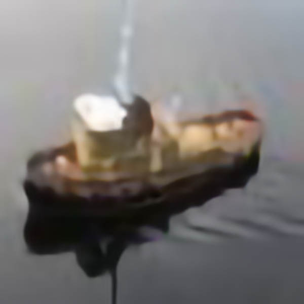 Flying Dolphin